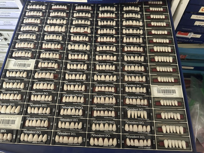 Ivoclar Blueline Teeth Shade C3 Upper & Lower Posterior