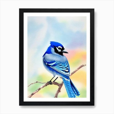 Blue Jay 2 Aquarell Vogel Kunst Pri gerahmtes Wandbild Poster Leinwanddruck Bild