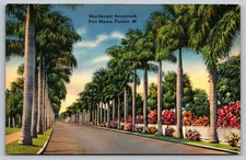 Vintage Linen Postcard MacGregor Boulevard Fort Myers Florida Palm Trees