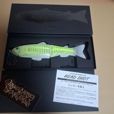 limited deps slide swimmer 250HS headshot c.cx-ray 521010