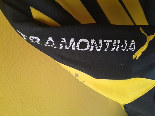 Trikot Peñarol 2011 handsigniert von Federico Valverde und mehr - Bild 15 von 16