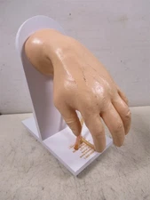 Nasco Life/form Advanced IV Training Hand Mannequin LF01139 White Caucasian 