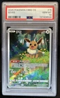 2025 Pokemon Chinese Gem Pack V2 Eevee #0115/15 PSA 10 GEM MINT GEM MINT