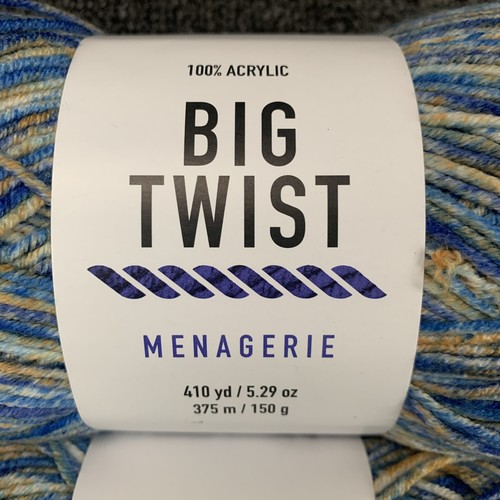 Lot of 3 Big Twist Menagerie Yarn, Color is Parrotfish Dye Lot 21 410yds 5.29oz - Picture 2 of 5