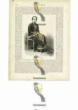 Princess Saripa Of Java, Indonesia, Book Illustration (Print), c1880