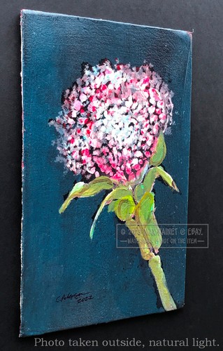 Variegated Carnation 2022 C Peterson * Original Oil Painting * Colorful Flower - Picture 7 of 24