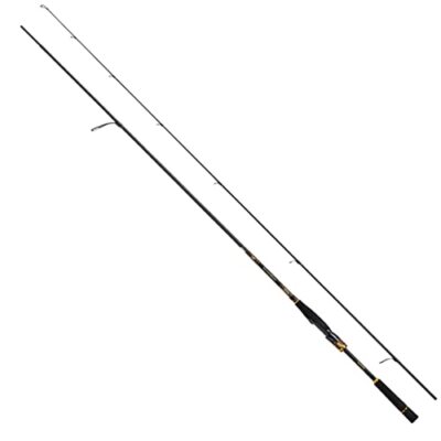 Daiwa Spinnrute Morethan BRANZINO EX AGS 94MMH