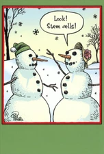 Stem Cells Dan Piraro Humorous  Funny Snowman Nobleworks Christmas Card