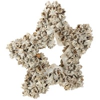 Stern Weihnachtsdeko Zum HäNgen Weiß Glitter Ø15Cm