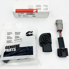 TPS Throttle Position Sensor Fits For Cummins Dodge RAM 2500 3500 5.9L53031575