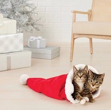 Wondershop Crinkle Cat Tunnel Large Santa Hat Bag Plush Toy Christmas 23 x 15