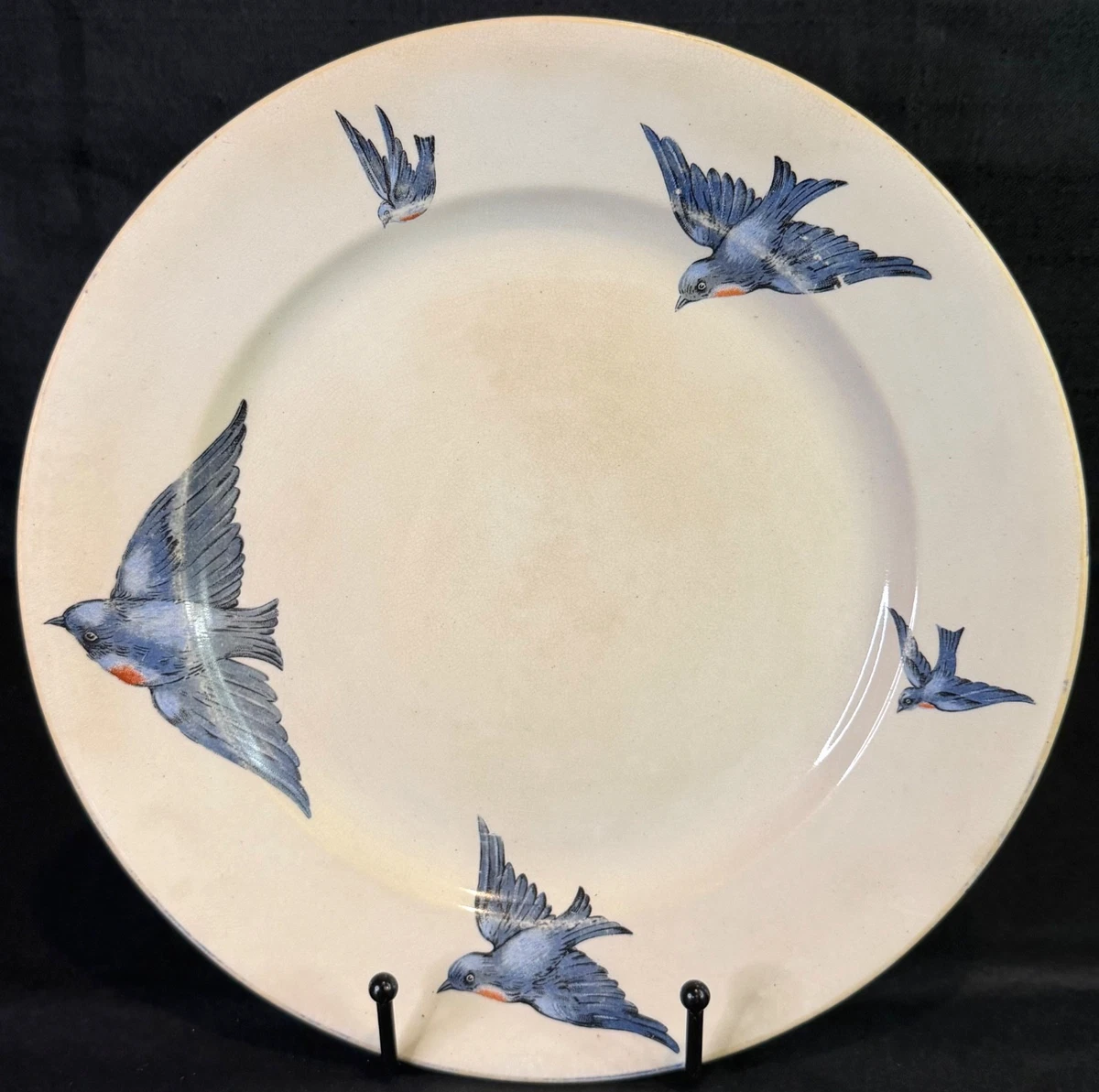Bluebird China | eBay