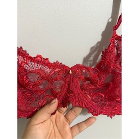 Lise Charmel 36D Red Floral Embroidered Sheer Lace Unlined Underwire Bra Luxury