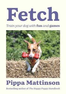 Pippa Mattinson Fetch (Taschenbuch)