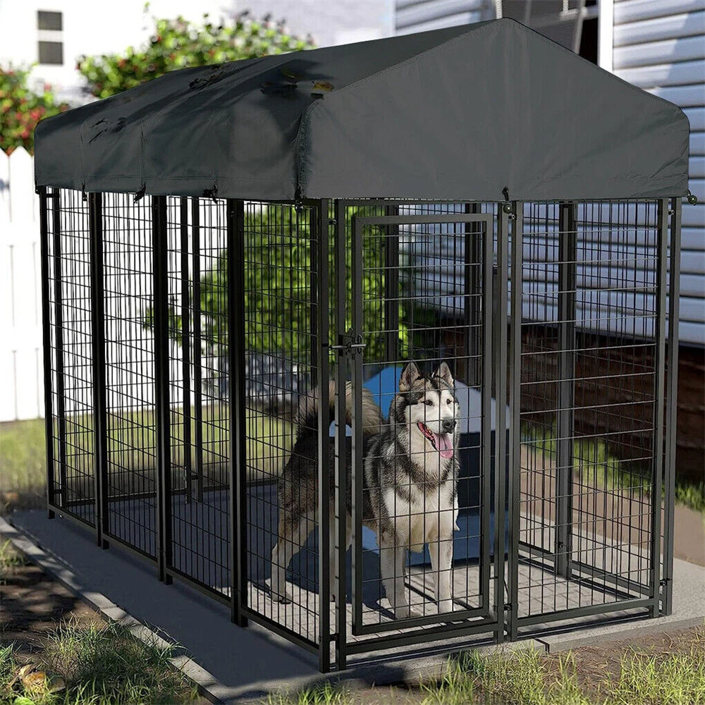 Jaxpety dog best sale house