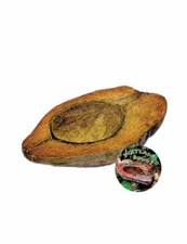 T-Rex ReptileTerrarium D cor - Wetlands Bowl