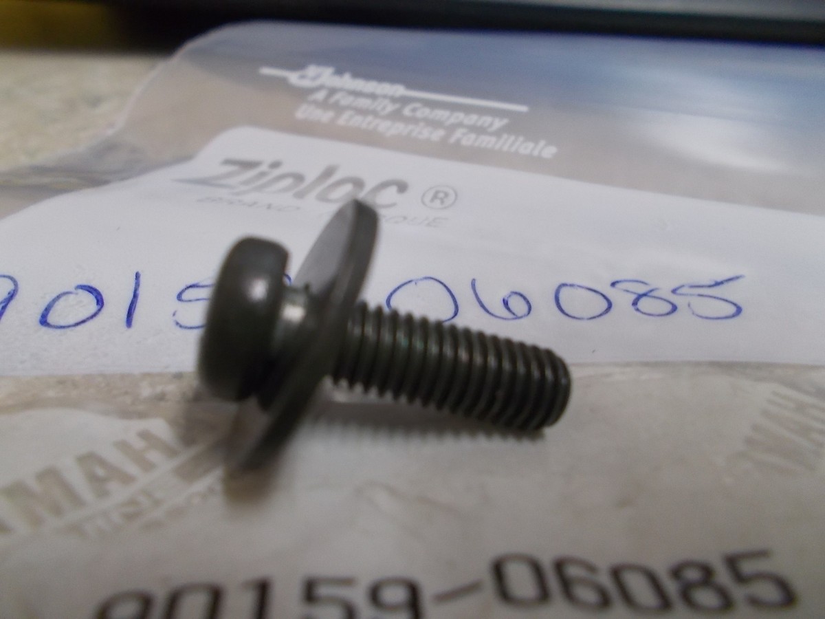 JGR様 NOS OEM Yamaha Master Cylinder Screw W/Washer(Rear)1987-2007