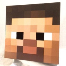 Minecraft Steve Head Halloween Costume