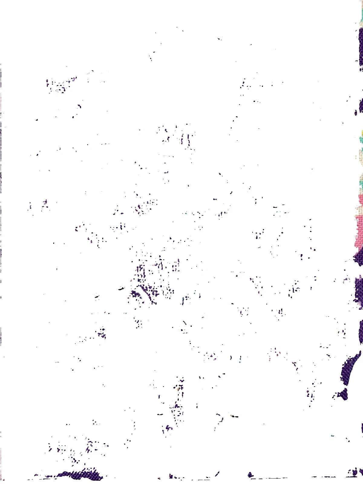 Quilting Fabric Sirena