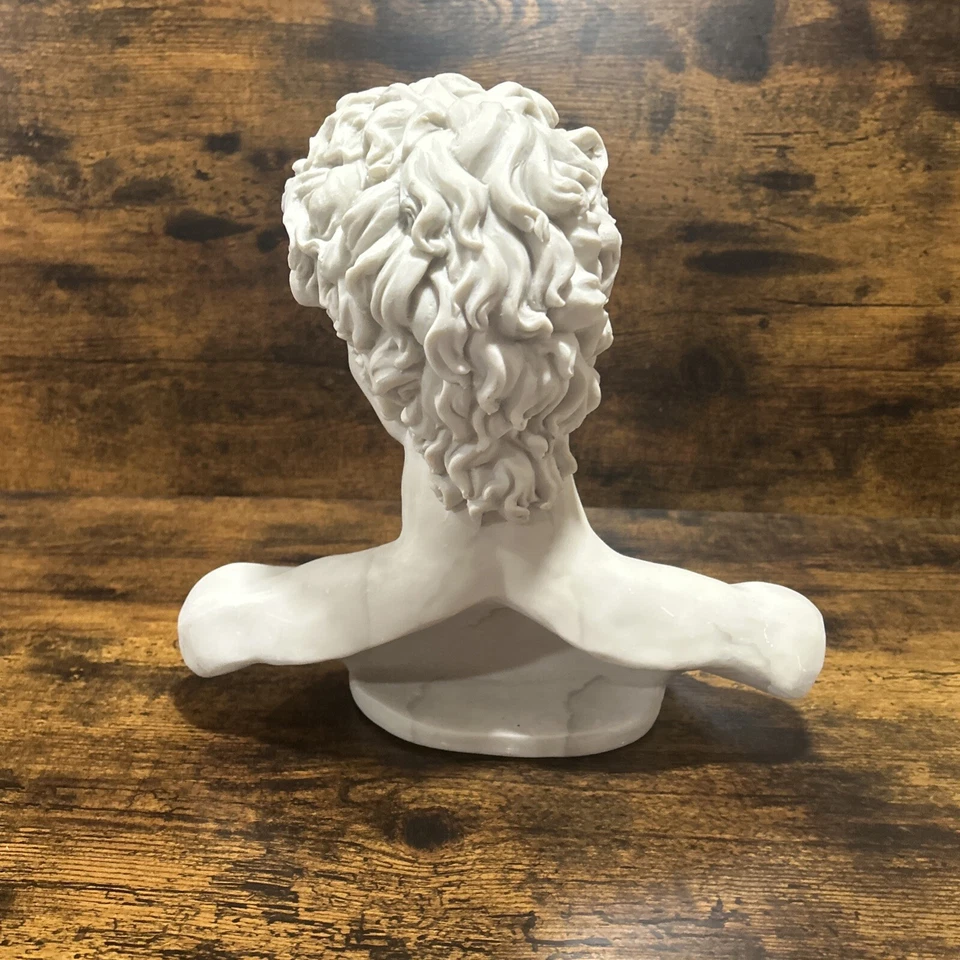 Estatua busto de David, decolina hecha a mano con aspecto de mármol Foto 4 de 4