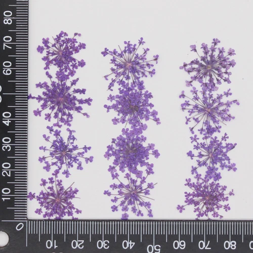 Dried Pressed Flowers Natural Epoxy Resin Candle Nail Art Scrapbooking Craft AU - Picture 145 of 210