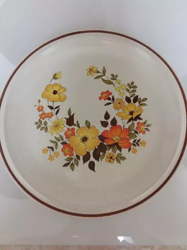 Set of 4 VTG Casual Elegance Hearthside Stoneware Chablis 10 1/2" Dinner Plates
