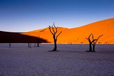 Landscape desert sand nature outdoors trees sky dead Custom Gaming Mat Desk