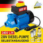 Bild 6 von 42