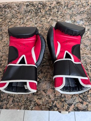 Ring to Cage Boxing Gloves (R2C)