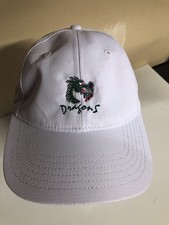 Taylor Made Adjustable Hat Says Dragons Across the Front