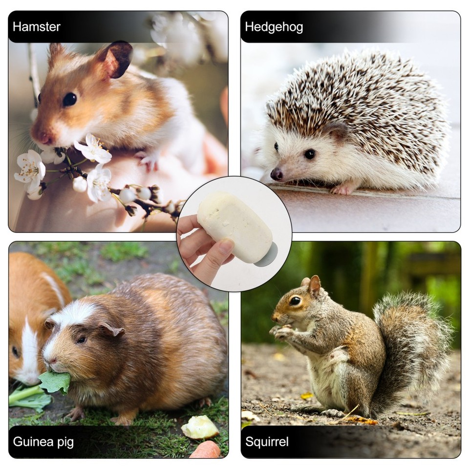 Vogel Sitzstange Aus Harz - Kauspielzeug Für Papageien