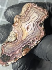 Excelente Ágata Picacho Púrpura México Bandas Espécimen Pulido Laguna