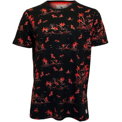 ted baker t shirt dress