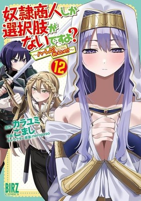 Dorei Shounin shika Sentakushi ga Nai desu yo?: Harem? Nani Sore  Comic Japanese