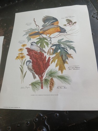 4 Arthur Singer 1971 State Bird Prints Lot ,American Home Magazine - Picture 5 of 19
