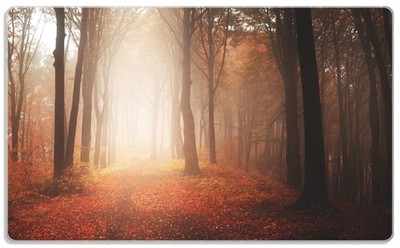 Wallario Frühstücksbrettchen Glas Herbstwald - Weg zu einer Lichtung Wald grün