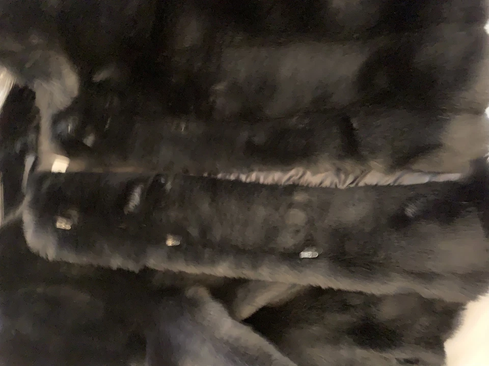 Chaqueta corta Calvin Klein de piel sintética noche encogida NEGRA talla mediana usada en excelente estado Foto 3 de 4