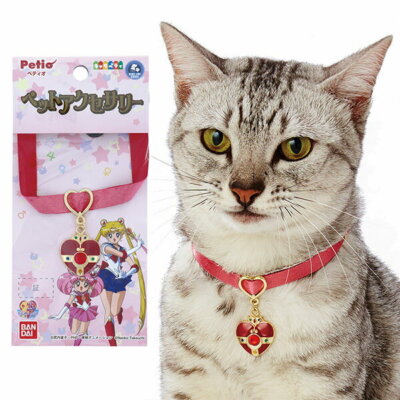 cat accessories ebay