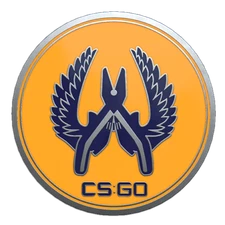 CSGO Series 2 Collectible Pin - Guardian 2 - Unscratched Code - NEW! CS GO
