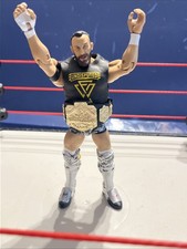 WWE Bobby Fish Action Figure Mattel Elite Series 79 Camo Variant Wrestling 