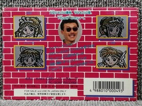 Masashi Tashiro no Princess ga Ippai Famicom NES Sony 1989 Japan Boxed Rare