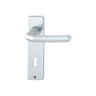 Hoppe Birmingham F1 - Alu Natur 1117/202KP/AP Kurzschildgarnitur BB OB PZ WC WG