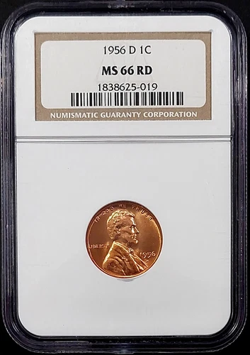 1956 D Lincoln Cent certified MS 66 RD by NGC!