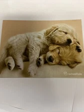 Adorable Birthday Card Retail Value $3.49