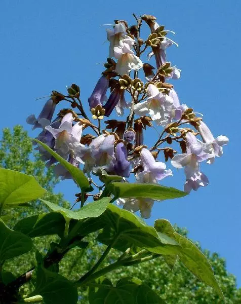 Bild 9 von 10