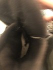 Bild 8 von 8