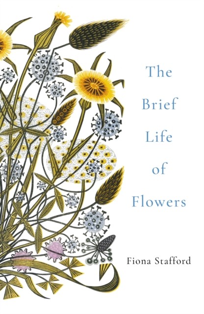 The Brief Life of Flowers by Fiona Stafford (Paperback Book)