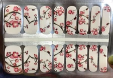 Color Nail Polish Strips, 16ct. Cherry Blossoms 3 READ DESCRIPTION BELOW