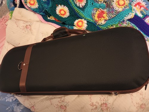 1/2 Sized Violin Set - Picture 2 of 12