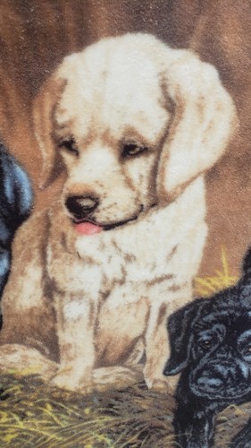 The Northwest Co Black, Yellow, Brown Labrador Puppy Dog Throw Blanket 58" X 50" - Picture 8 of 12